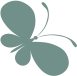 child-parenting-workshops